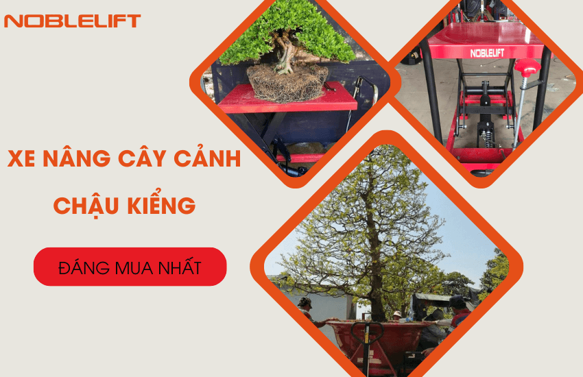 xe nang cay canh chau kieng