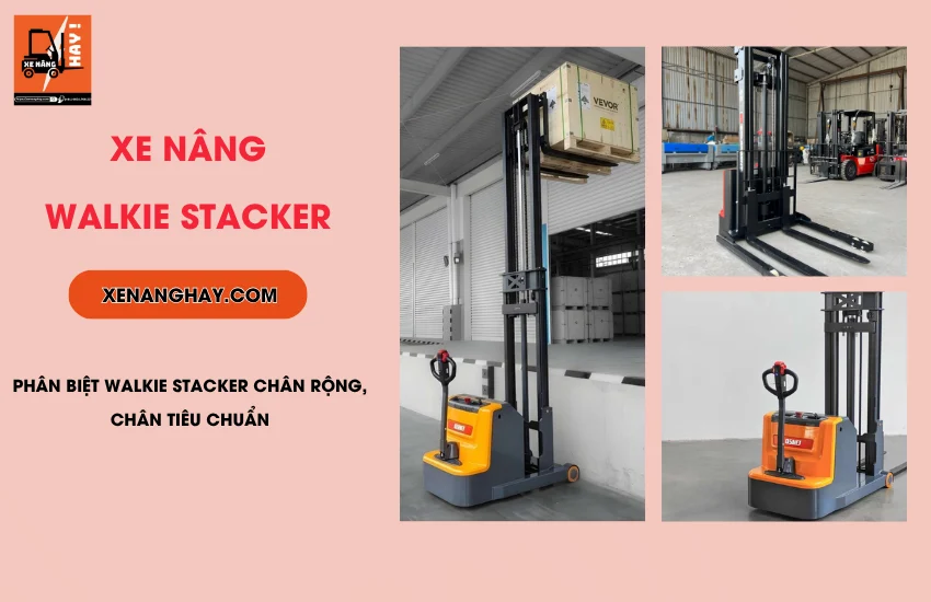 Walkie Stacker la gi Walkie Stacker la gi